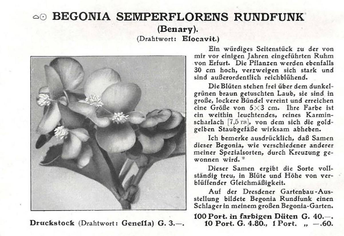 B. ‘Rundfunk’